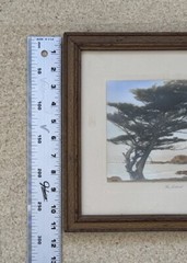 Vtg Gibson Hand Tint Oil Color Photo The Sentinal Cypress Tree 12.75”x11.3/8” VG