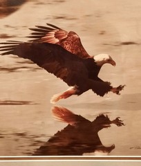 THOMAS D. MANGELSEN COLOR EAGLE PHOTOGRAPH SIGNED AND NUMBERED 102/850