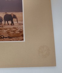 Monkey Camels and Elephants Pictures Framed and Signed by Artist