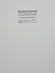 Richard Garrod, black and white photography, Tidepool, Pt. Lobos, 1978