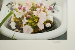 Tom Adams Photography Pink Petunias in Sink Garden Oregon Matted Photo Art 8×10