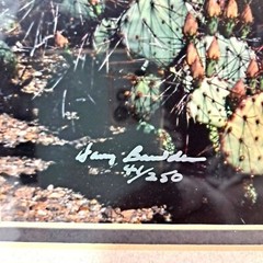 Harry Bowden «Boquillas Spring» Framed Photo & Matted Limited Edition Signed