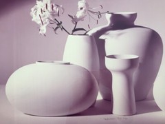 Large GREG COPELAND Fine Art Photograph SEPTEMBER STILL LIFE Flower Signed 1982