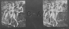 Original Antique B/W Nude Real Photo- Double Stereoscope- Three Women Outdoors