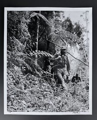 Fidel Castro in the Sierra Maestra – Iconic Jungle Portrait by Korda