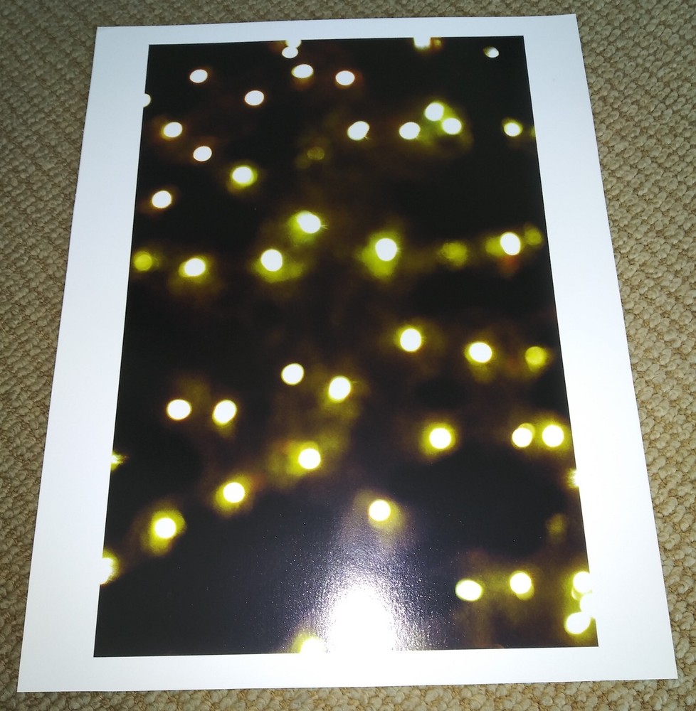 ROSS BLECKNER ‘Untitled’ 2011 SIGNED Photograph Limited Edition 14×11 in. *NEW*