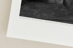 DOMINIC ROUSE Fine Art Photograph Signed Ltd Edition Young Girl Snake & Vulture