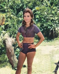 Dawn Wells of Gilligan’s Island Lot of 2 Different 4×6 Re-Print #0000
