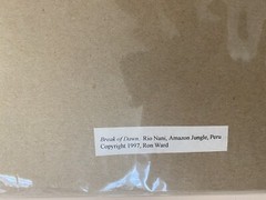 Ron Ward 1997 Break Of Dawn Rio Nani, Amazon Jungle, Peru – NEW