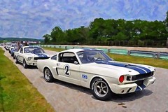 1966 Ford Mustang GT350 Trans Am Vintage Classic GT Race Car Photo (CA-0591)