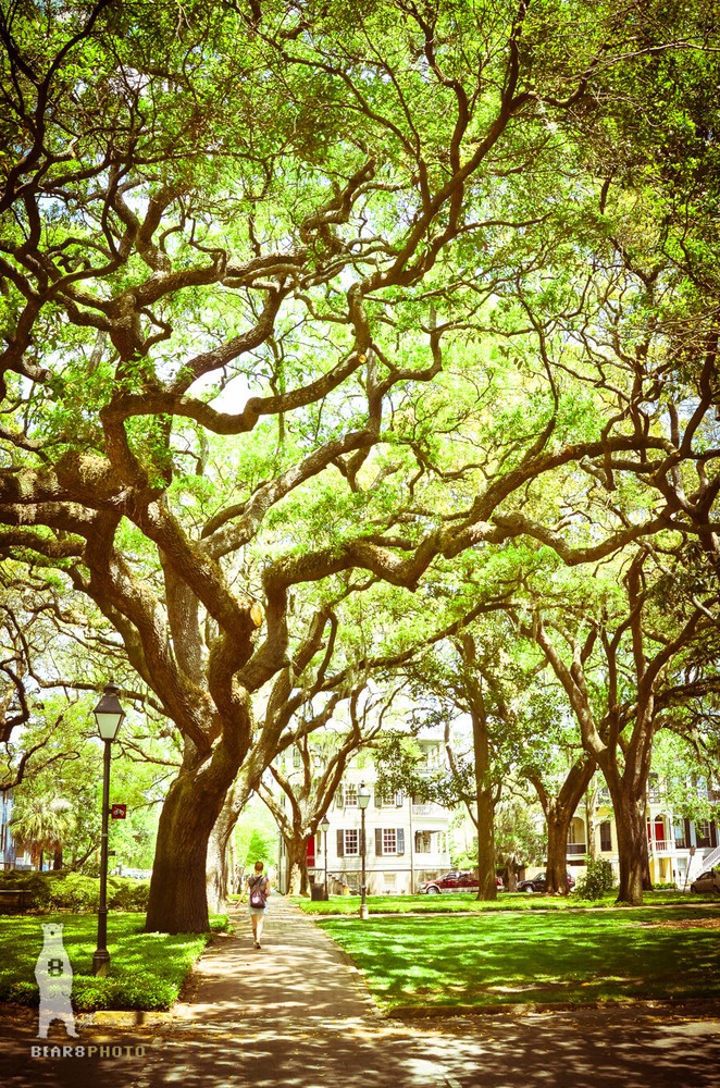 Downtown Savannah, Georgia – Pulaski Square – Photography Fine Art Prints