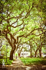 Downtown Savannah, Georgia – Pulaski Square – Photography Fine Art Prints