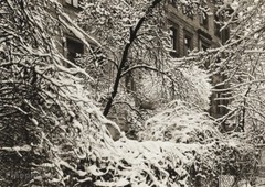 1950 Vintage JOSEF SUDEK Winter Snow Branches Garden Original Photo Gravure Art
