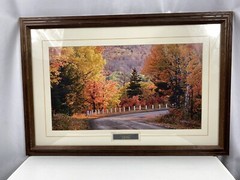 Steve Primm Autumn Drive Landscape Art Panoramic Photo Print Signed