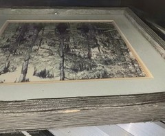 Original 1985 Cypress Swamp Watercolor Painting – Framed Southern Folk Art