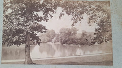 Rare Photo Board City Brussels Late 19th – Early 20th Century Belgium Monuments