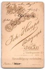 Photograph Joh. Haupt, Iglau, Tiefgasse 11, profile view of a woman with highs