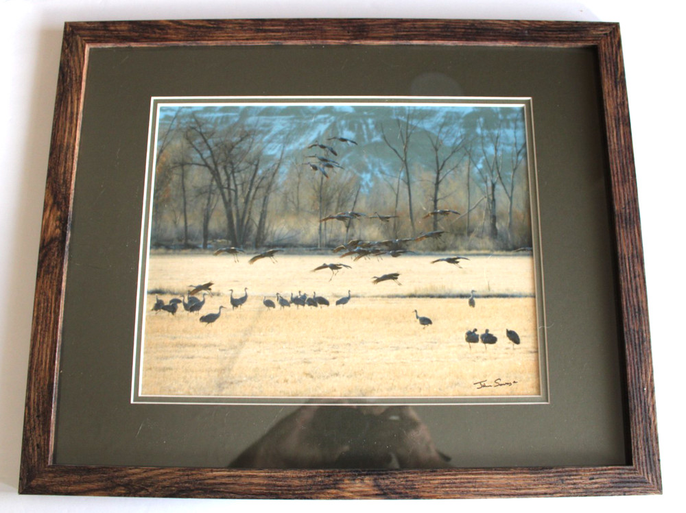 Sandhill Cranes Signed Photograph by John Savage Dbl Matted 16×20 Frame