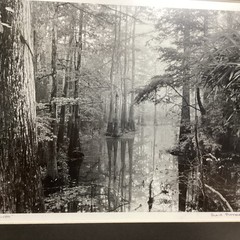 Blair Pittman: «Old River» – Original Gelatin Silver Print Photograph