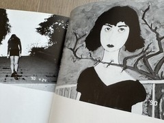 🎈RARE! Araki Nobuyoshi – 1990-1999, Photo Madness Diary, Japan, 2000, First Ed