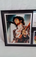 Prince Retrospective Memorial Framed Photos and Biography Double Matted #J4039