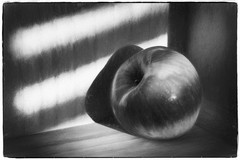 Fine Art Photography, Black & White print, 8×12, Apple in a Box