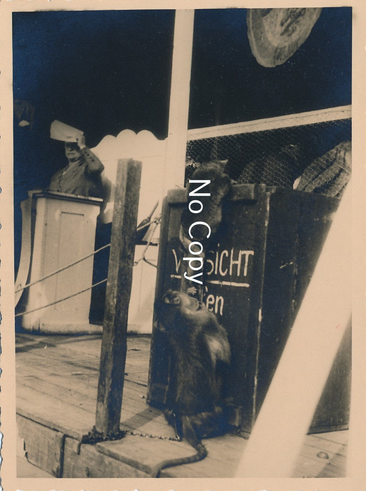 Munich Octoberfest Sideshow Monkey Photo 1931 X205 Black & White