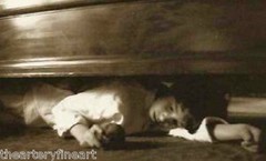 VIK MUNIZ ‘Under the Bed’ SIGNED Ambrotype Photograph from ‘Clayton Days’ Framed