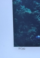 Robert Sheer Spirits Honoring the Lone Cypress Single Exp Photograph Hand signed