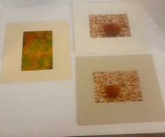 3 Fall Nature Photos Prints Mounted on Mat Board 8” Leaves Pumpkins