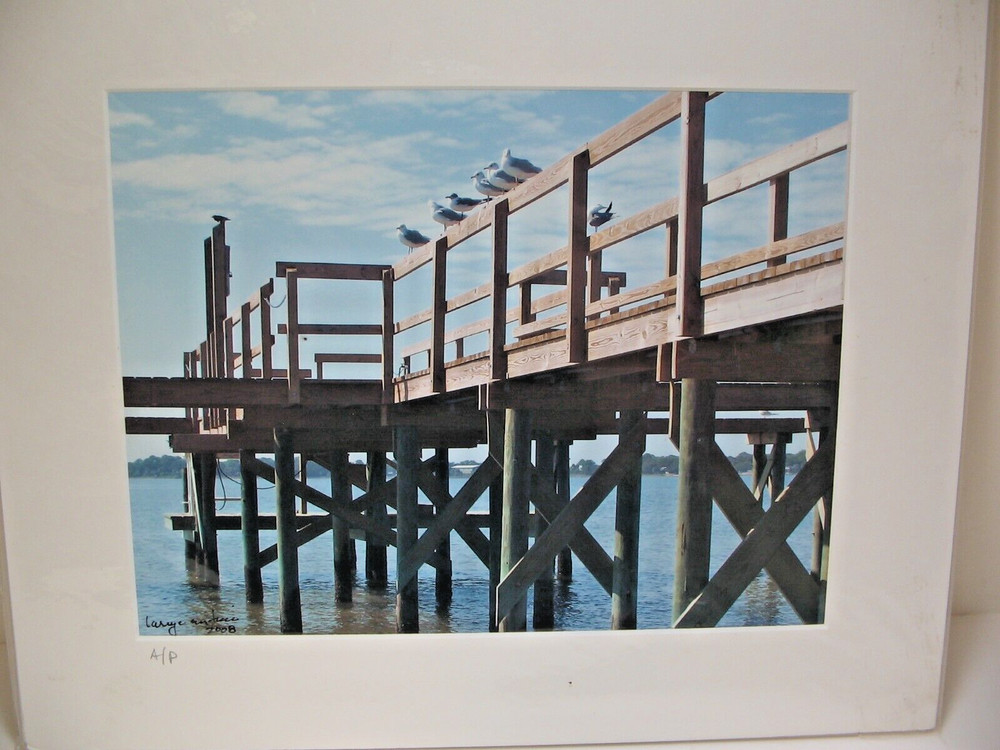 MATTED PHOTOGRAPHY Under The Pier Color Photo AP 12×15 Color by Larry Santucci