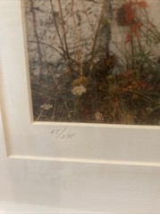 Tony Casper 16×20 Red Ivy Window Signed Numbered 47/275 Art Photography Print 92