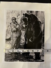 Jacko Vassilev-Silver Gel Print-Award Winning Photographer-«Dancing Bear» SIGNED