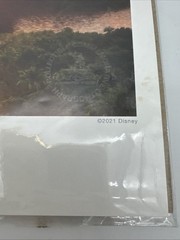 Disney Raya and the Last Dragon Panoramic Art Print Lithograph Promo Poster