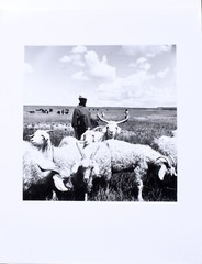 Constance Stuart Larrabee Photograph Basdeo 1947 Portrait Sheep Herder Plains