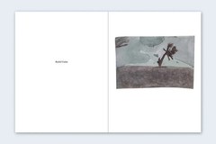 TODD HIDO Nazraeli One Picture Book SET 59 Cracked Trees Signed