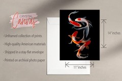 Crystal Canvas Prints Koi Fish Photography Prints – Set of 4 (11×14) Inches G…