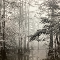 Blair Pittman: «Old River» – Original Gelatin Silver Print Photograph