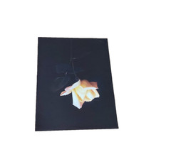 Large Yellow Flower Art Print Original Vintage 1980’s 16″X 21″ #2
