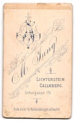Photograph M. Jung, Lichtenstein-Callnberg, Schulgasse 175, portrait of a young