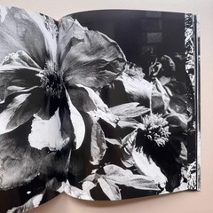 Daido Moriyama 2008 Fondation Cartier Paris Exhibition Catalog