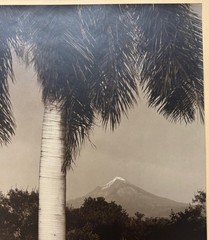 HUGE BREHME ‘Popocatepetl’ MEXICO Volcano Mountain SIGNED Gelatin Silver PHOTO