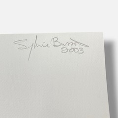 Sylvie Bussières «Sèrie Inutiles de Cristal» Foto No.1 Photogram Mural Wall Art