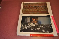 The Search for Food — Portfolio of 16 color photographs for Heinz | Jay Maisel