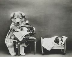 dog puppy pup baby art print Harry Whittier Frees 8×10 vintage photo picture #30