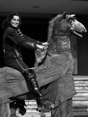„Crazy Horse” on roller skates, world-famous circus production István ELEK and