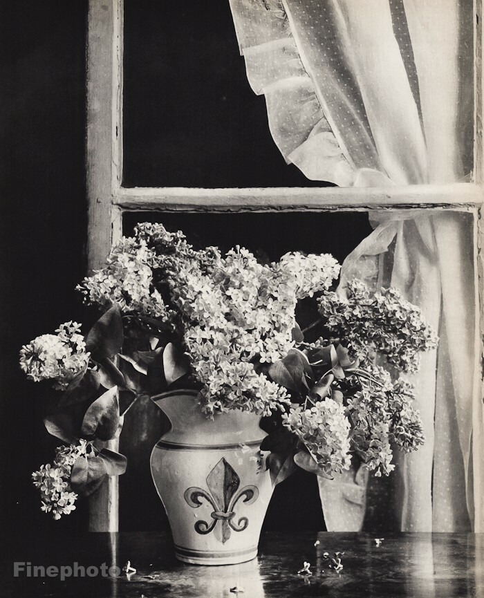 1940s EMMANUEL SOUGEZ Flower Vase Window Fleur Lys Vintage Photo Gravure 16X20