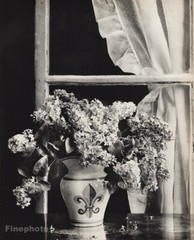 1940s EMMANUEL SOUGEZ Flower Vase Window Fleur Lys Vintage Photo Gravure 16X20