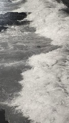 FRANCIS JAMES MORTIMER??? Rough Sea Seascape WAVES Photographs (3) READ!