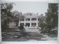 MATTED PHOTOGRAPHY American Home With Trees By Larry Santucci 14×11″ 2005